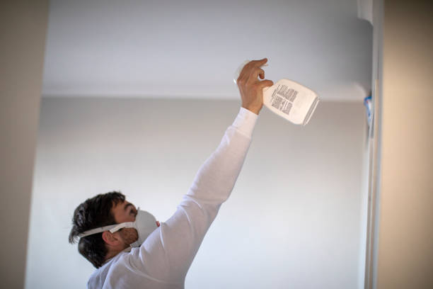 Best Mold Removal Company Near Me  in Olmos Park, TX